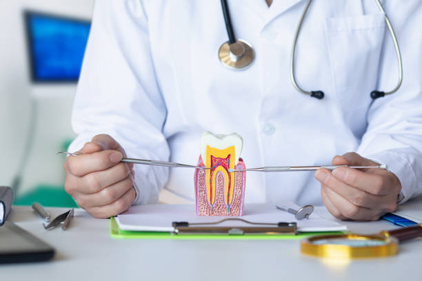 Best Cracked Tooth Emergency Dentist  in Overland Park, KS
